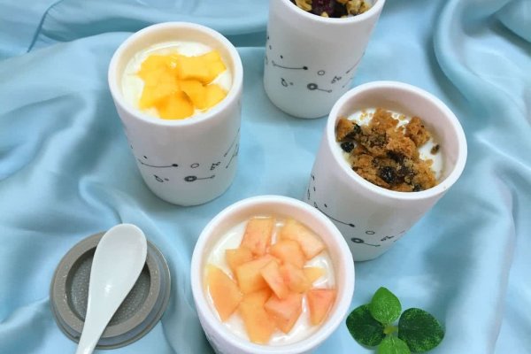 小熊酸奶机试用-自制多味酸奶的做法_【图解】