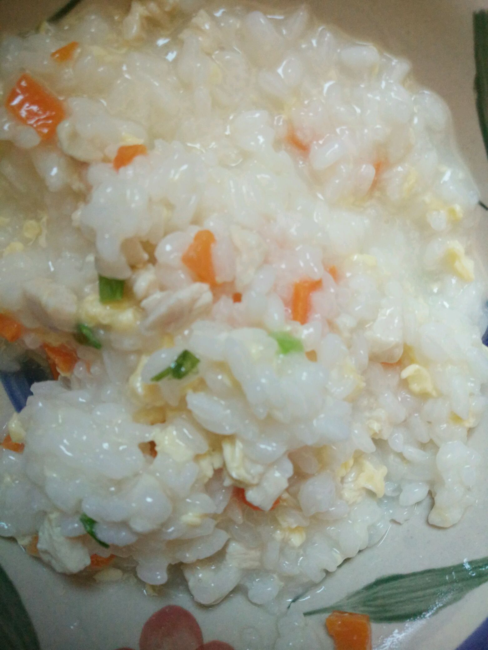 香油适量 小葱花一根 宝宝食谱胡萝卜鸡肉粥的做法步骤 本菜谱图片