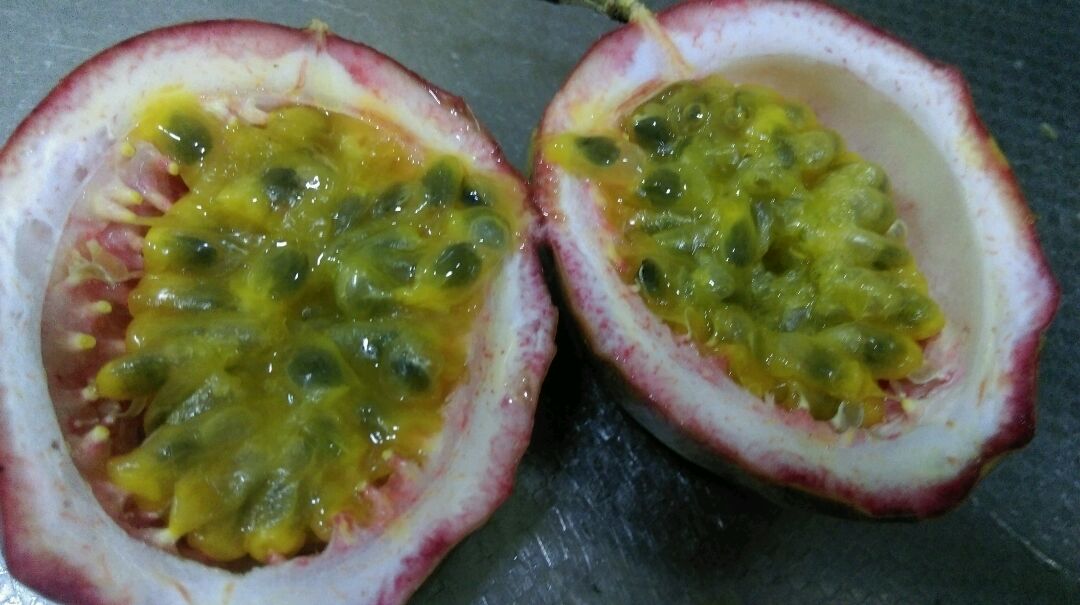 百香果的籽掏出来放杯子,所有原材料放子里.