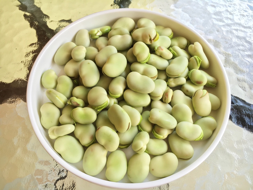 胡豆开花歌词歌谱