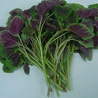 蒜香凉面的做法_【图解】蒜香凉面怎么做如何