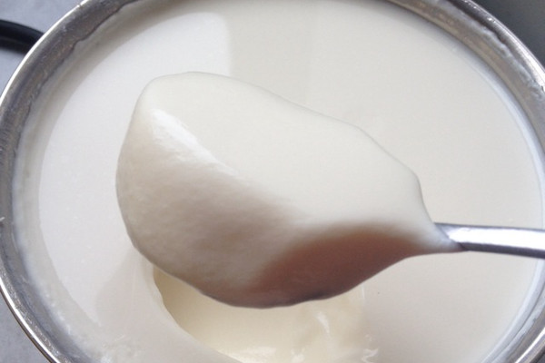 自制老酸奶的做法_【图解】自制老酸奶怎么做