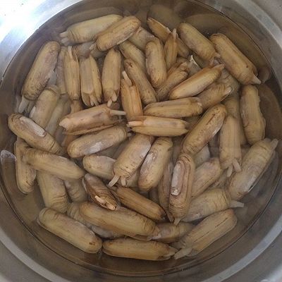 麻辣指甲贝