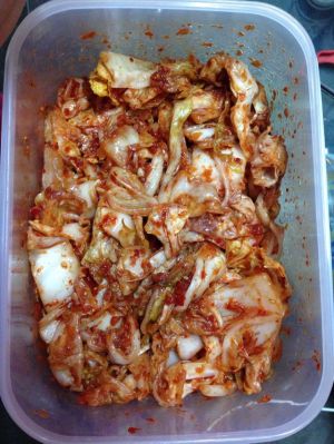 汐汐321的韩国泡菜,辣白菜的做法的评论_怎么