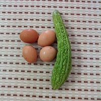 苦瓜涨鸡蛋的做法图解1