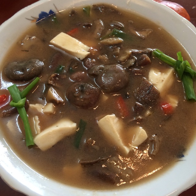 松菇炖做法的豆腐豆腐菜谱大全v做法图片
