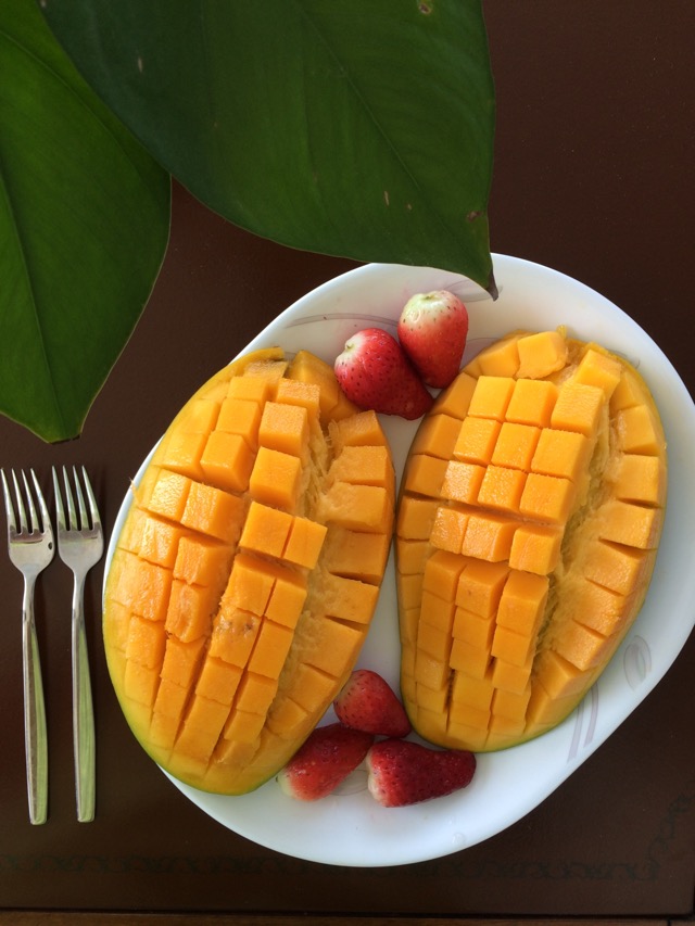 ͸âпƴ,òݮСˮ׺.