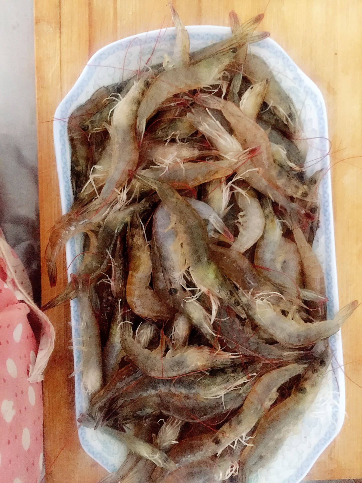 盐水虾