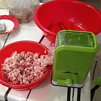 笋干猪肉饺子的做法图解1