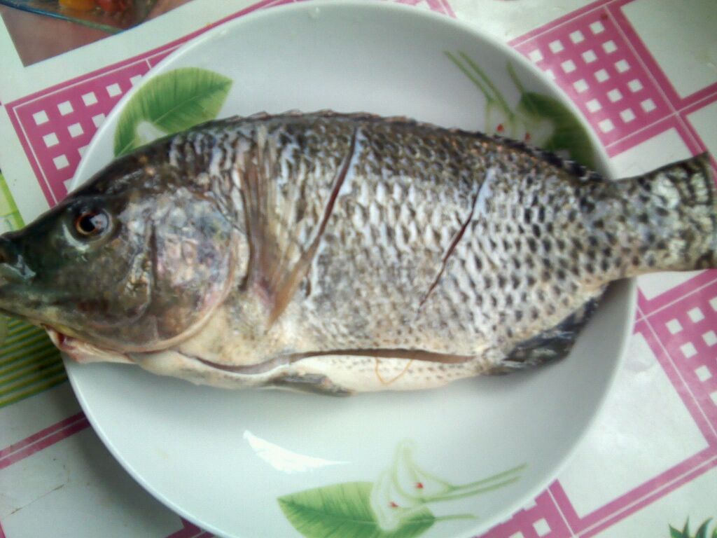 ޷_ͼ⡿޷ô