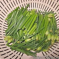虾米韭菜花的做法图解1