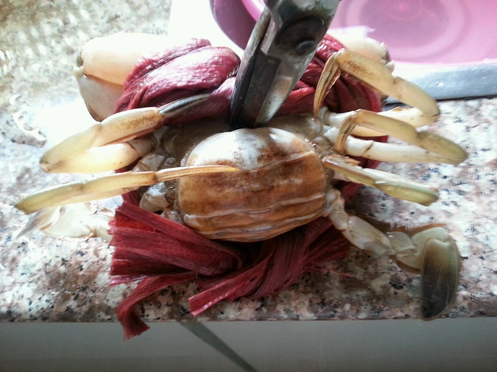 з