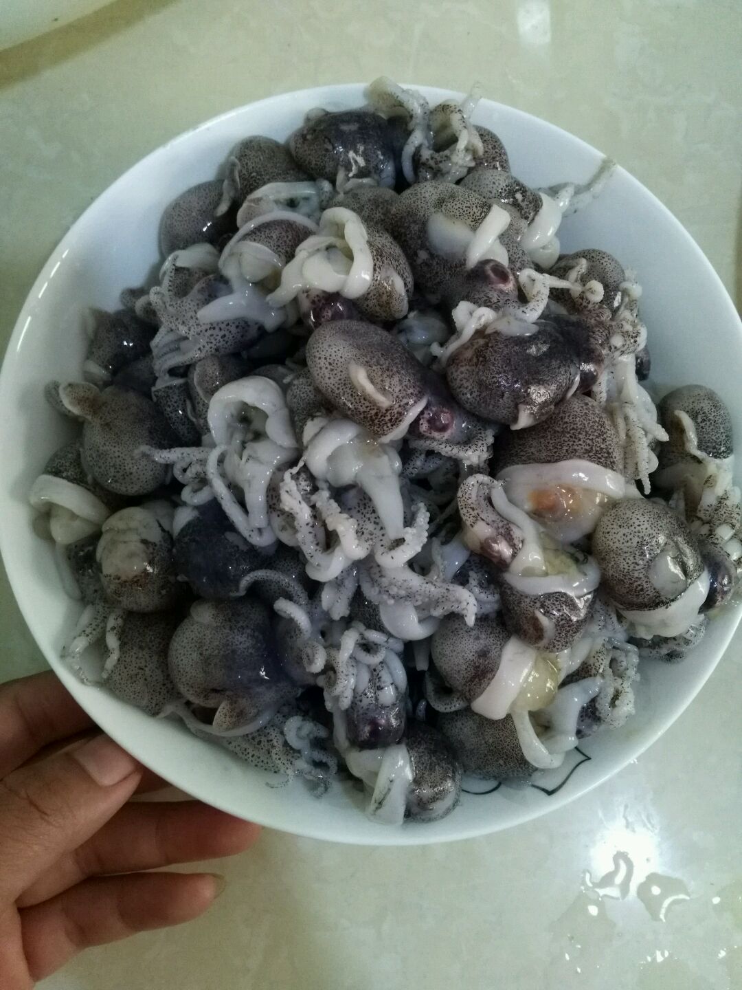 小乌贼的墨囊摘掉,口器摘不摘都没关系.