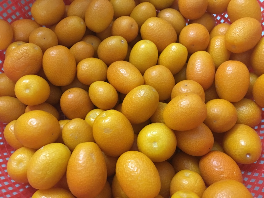 ̽