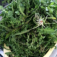 清香爽口的荠菜麦饭的做法图解1