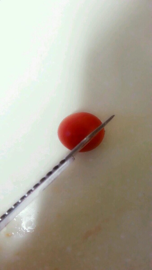 򵥵Сƴ
