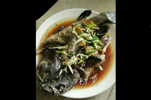 青斑鱼怎么做如何做好吃_清蒸青斑鱼家常做法大全_初见dxd_豆果美食
