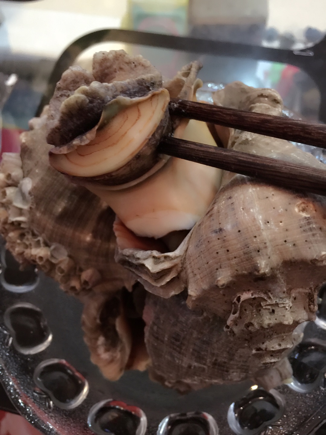 ƺݵ_ͼ⡿ƺôó