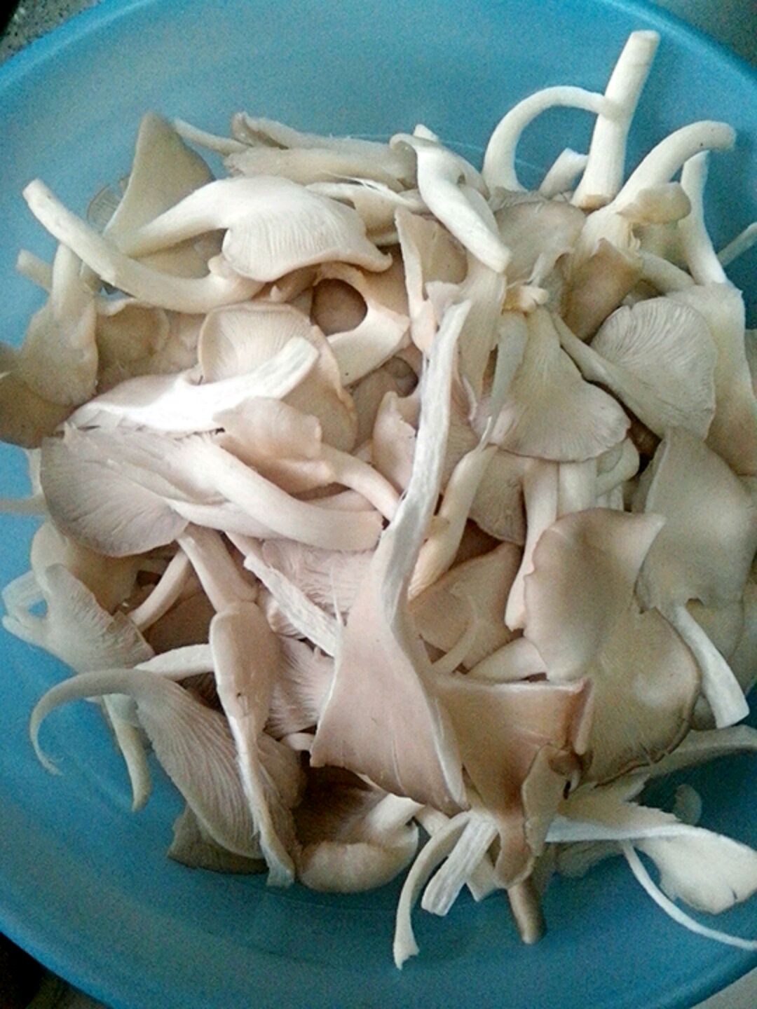 ཷƽ