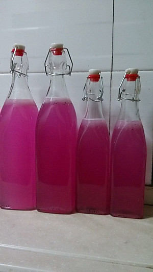 二宝吉祥的火龙果苹果柠檬酵素的做法的评论_