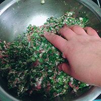 荠菜肉馅馄饨