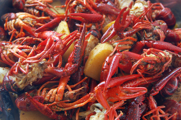 图老师美食
