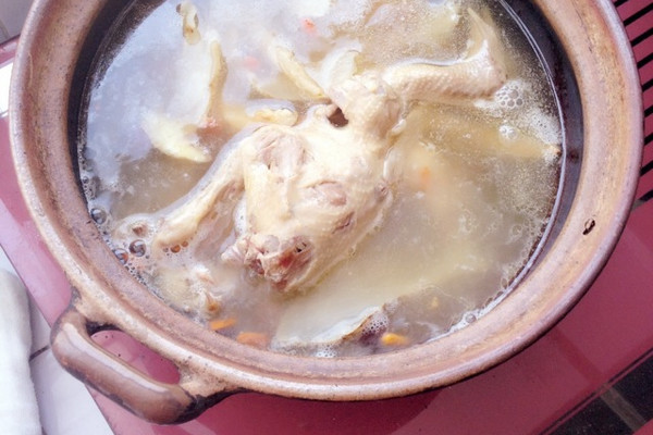 天麻炖鸽子