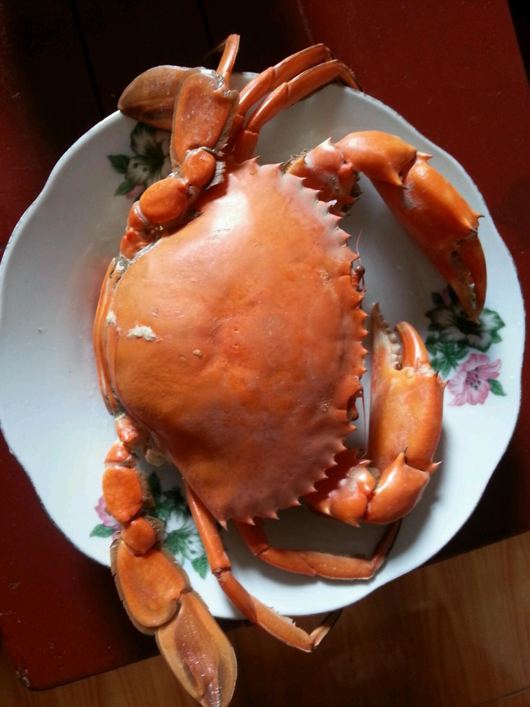 з