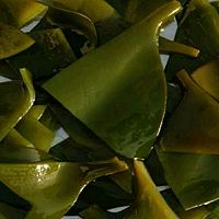 海带冬瓜排骨汤的做法图解1