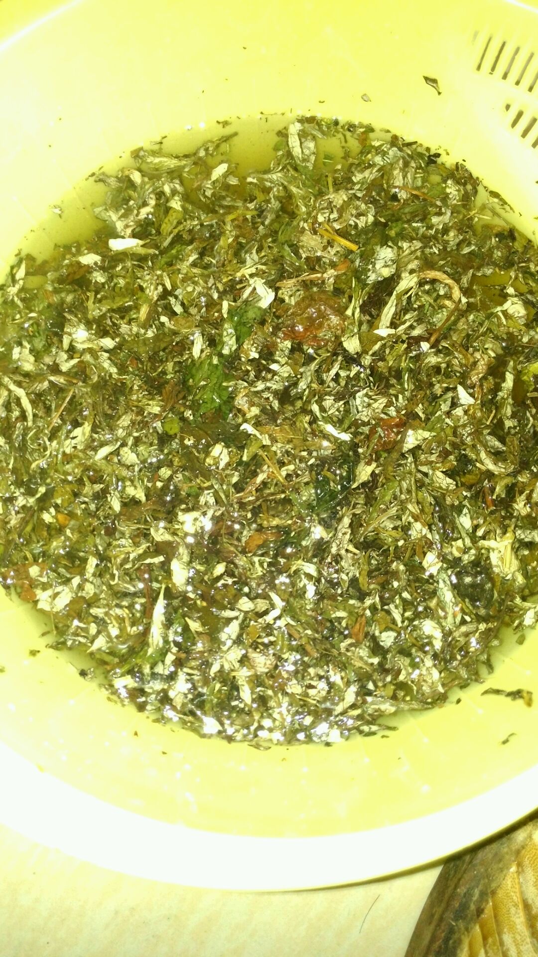 买回来的干的艾叶.泡水清洗下.