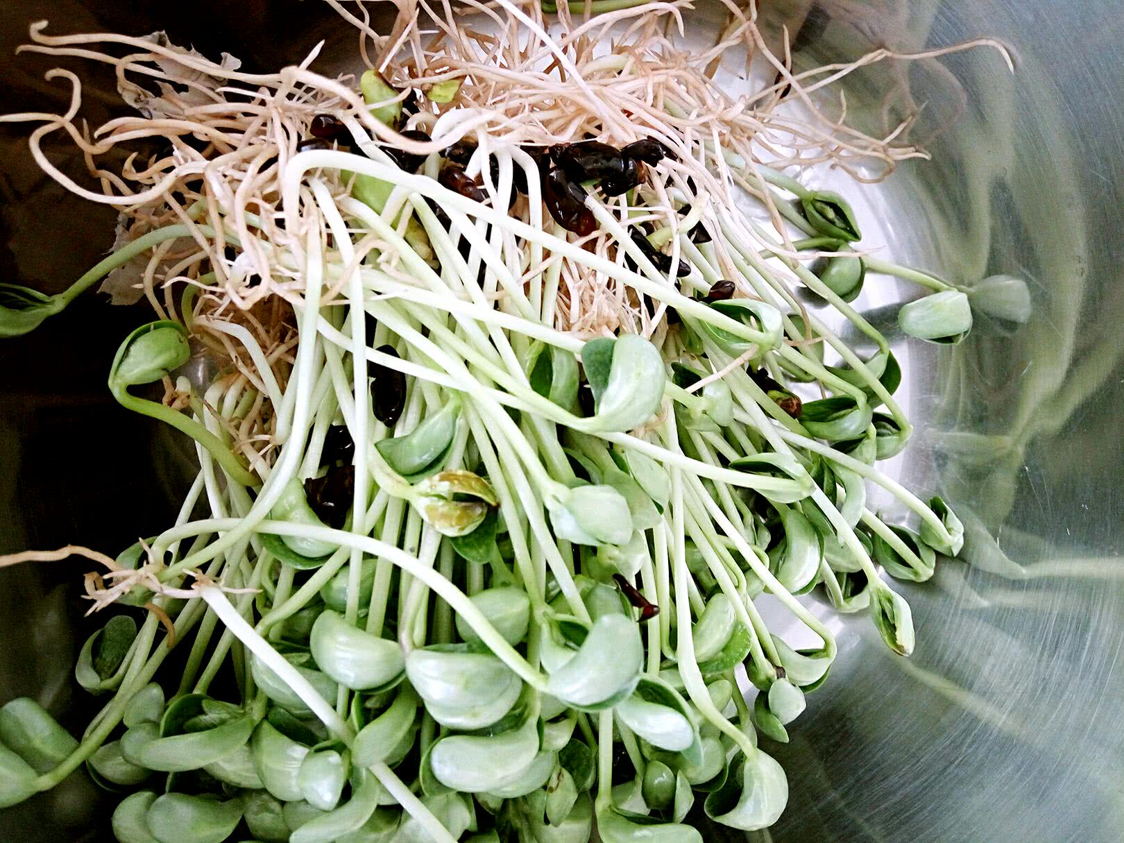 农村田边一种小藤蔓，城里卖到20元一斤，是煲汤的好佐料!__凤凰网