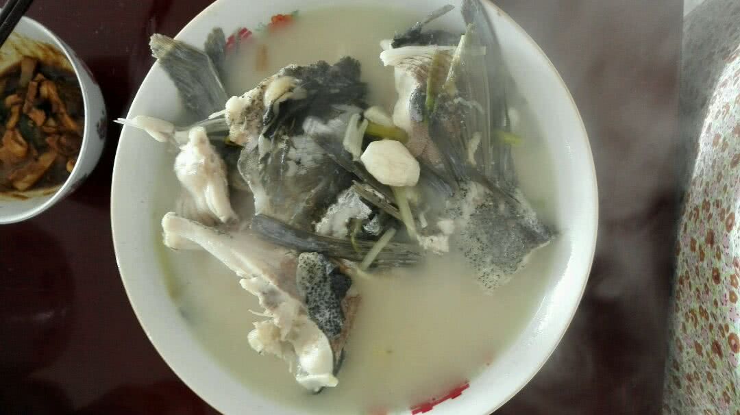白炖鲢鱼汤