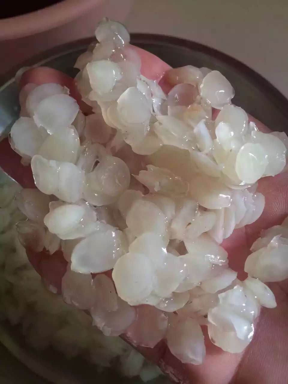 ѩҽ