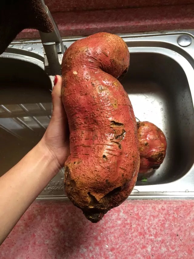 快手炸红薯