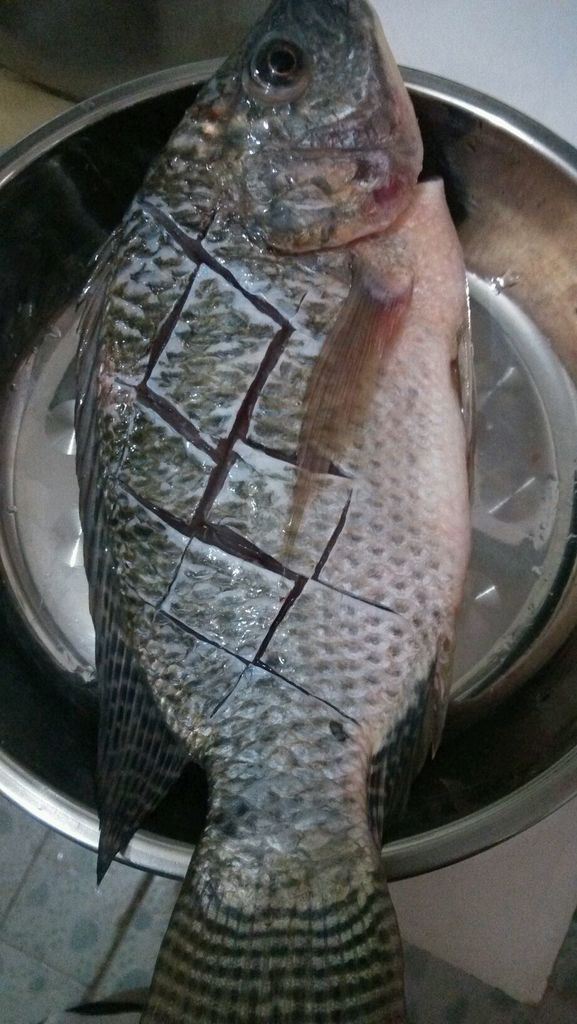 ޷_ͼ⡿޷ô