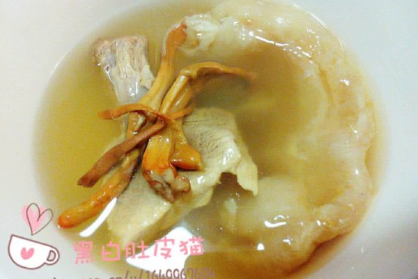 花胶虫草炖花瘦肉(电饭煲懒人版)的做法_【图
