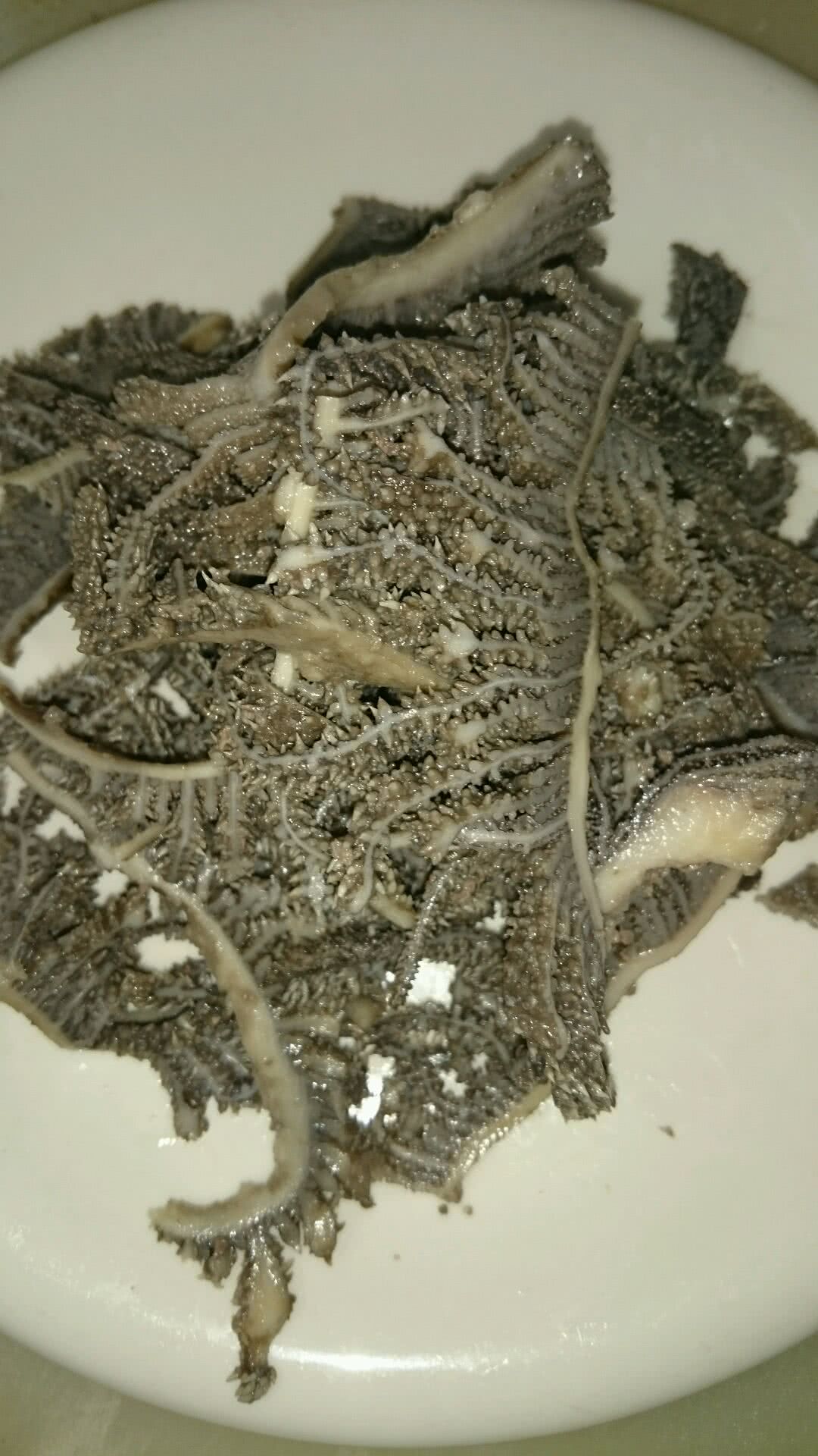 牛百叶切丝图片