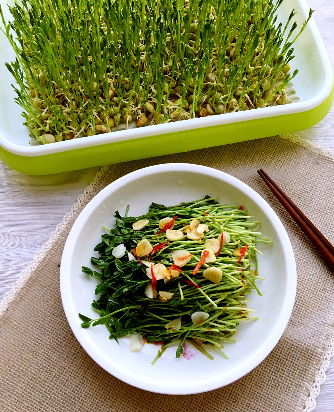 学种芽苗菜怎么做_学种芽苗菜的做法_青水zy_豆果美食