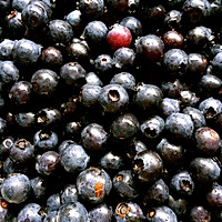 面包机版蓝莓果酱的做法_【图解】面包机版蓝