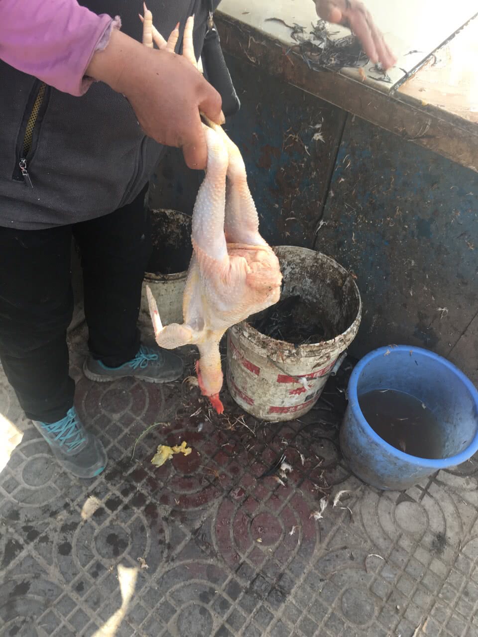 现场杀鸡_现场杀鸡图片_现场杀鸡影院_现场杀鸡小说 - 你懂的网站