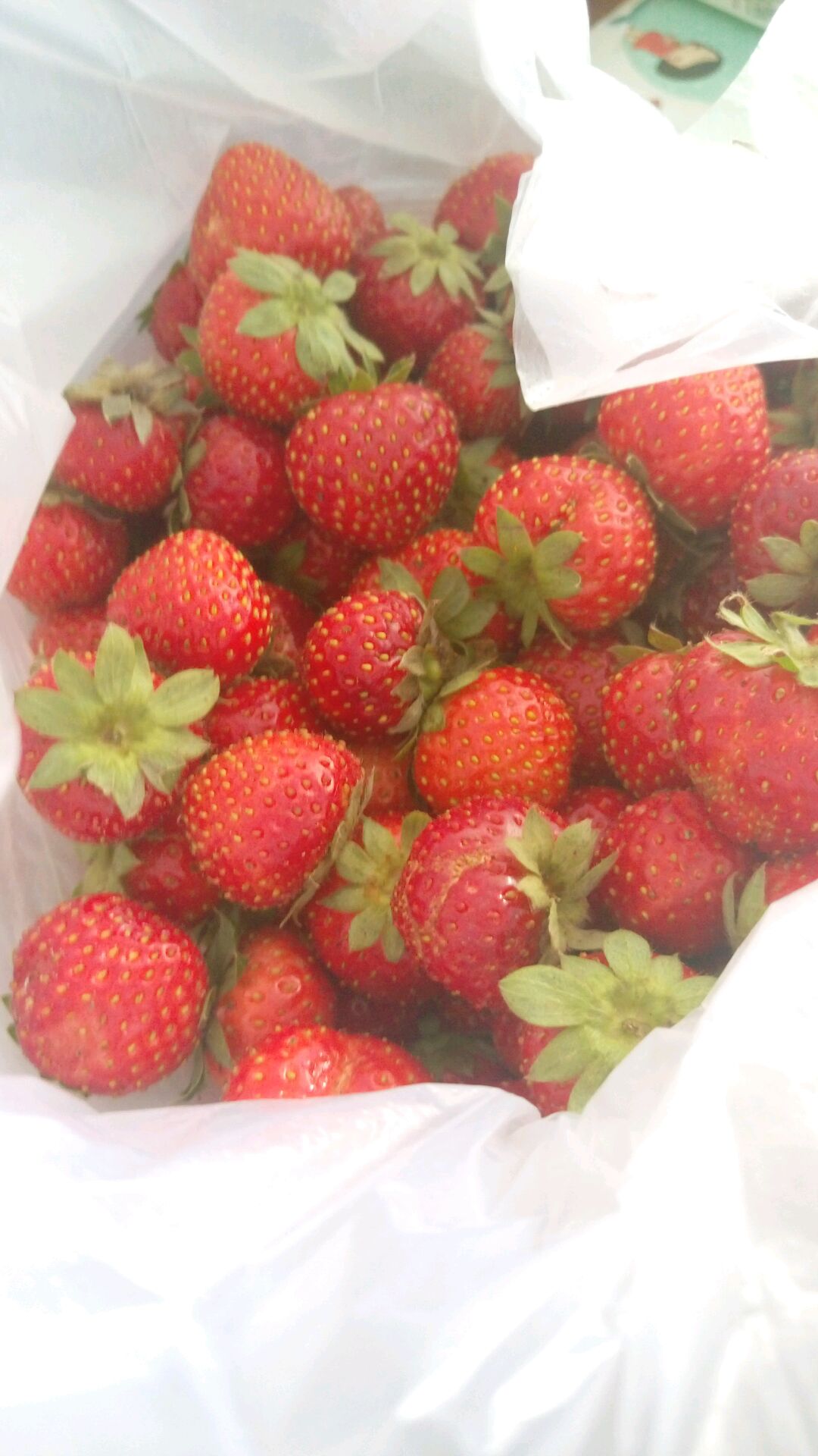 洗净草莓:先用水冲洗草莓表面(先别泡,以免农药反渗进去),加入食盐