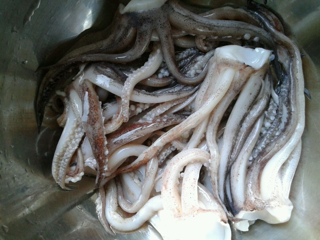 鱿鱼须5个,用清水洗干净,须上的小吸盘.