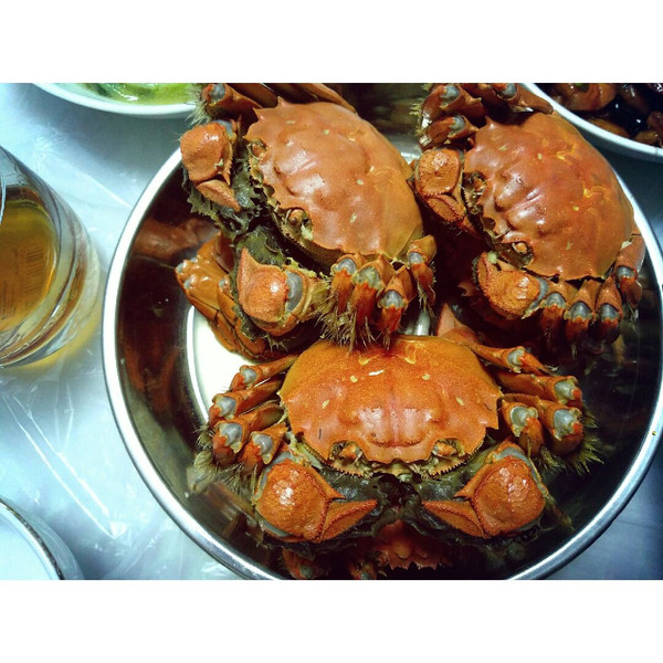 >> 文章内容 >> 清水煮螃蟹的做法  水煮螃蟹要煮多久答:活河螃蟹放入