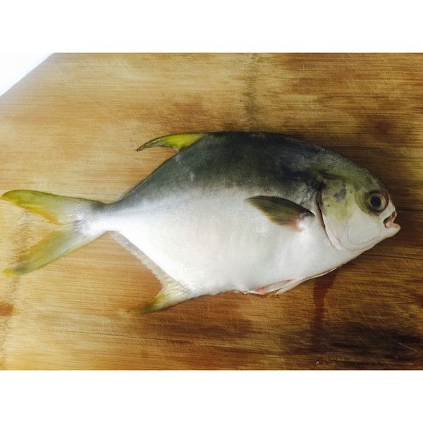 食谱_猪的红烧鲳鱼#嗨MilK出山月份#吃货的学做法食谱什么六吃图片