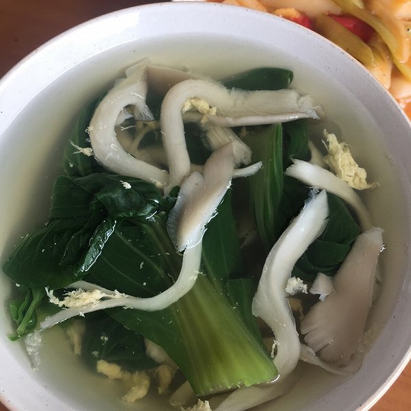 青菜平菇蛋汤