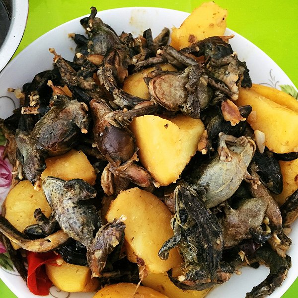 赛脸妹_的蛤蟆炖土豆做法的学习成果照