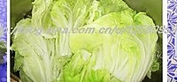 珊瑚菜卷的做法图解1