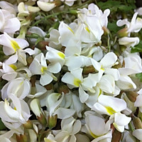 槐花鸡蛋饼的做法图解1