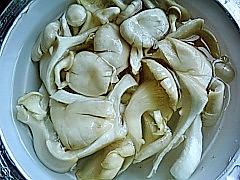 400_865582.jpg